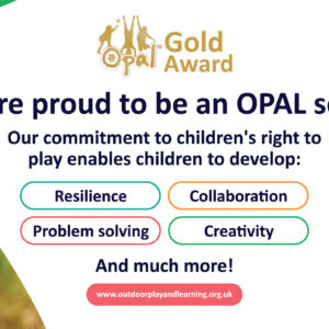 Outdoor Fence Banner -  Award Level